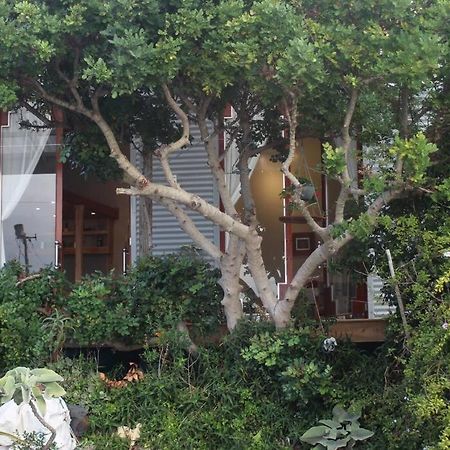 Quirky Eco-Friendly Artist Studio เคปทาวน์ ภายนอก รูปภาพ