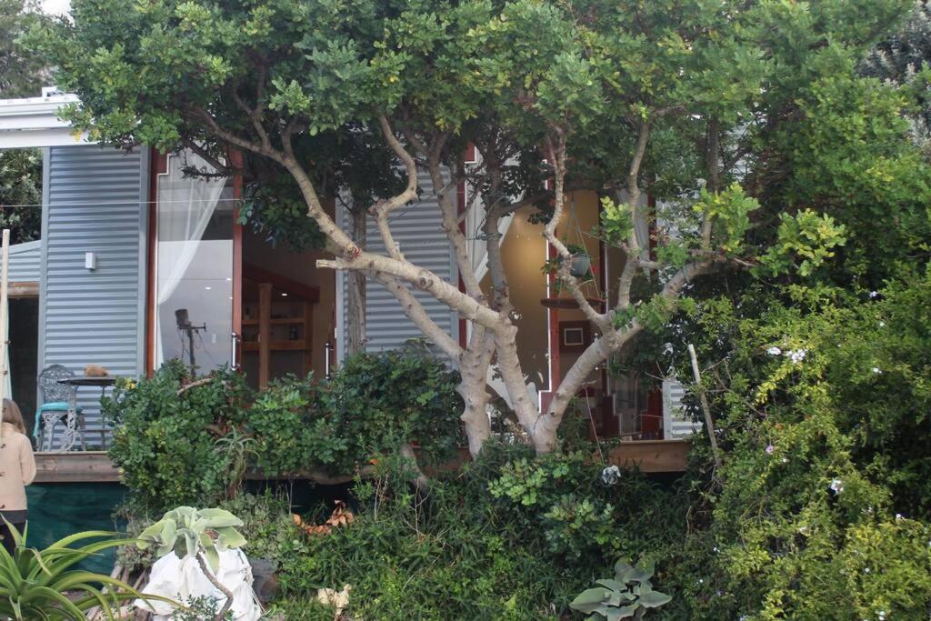 Quirky Eco-Friendly Artist Studio เคปทาวน์ ภายนอก รูปภาพ